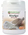 HEALTH LEADS KIESELGUR (DIATOMEENERDE) (LEBENSMITTELQUALITÄT) X 100 KAPSELN