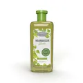 Original Hagners Birken-Haarwasser ohne Fett 500 ml Art.-Nr.: 2920