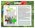 10x Faucaria tigrina Kaktus Sukkulenten Garten Pflanze - Samen B1484