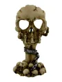 Deliberation Skull Tealight Holder 15.5Cm NEU