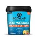 Bodylab24 Post Workout Extreme Fruchtmix 500g, mit Aminosäuren (darunter die BCAA im Verhältnis 2:1:1), Vitamine, Mineralstoffe & Kreatin, ideal zur Regeneration nach dem Training