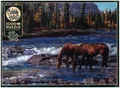 Cobble Hill Pferde im Wildwasser 1000 Teile