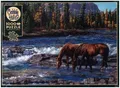 Cobble Hill Pferde im Wildwasser 1000 Teile | Spiel | In Spielebox | 3840267