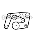CONTINENTAL CTAM Keilrippenriemensatz für Mercedes-Benz C-Klasse T-Model S204