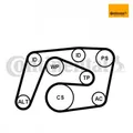 Keilrippenriemensatz CONTINENTAL CTAM 6PK2260K1