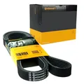 CONTI 6PK2260K1 Keilrippenriemensatz mit Rollen für MERCEDES C CL203–S204 CLC