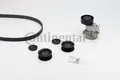 CONTINENTAL CTAM 6PK2260K1 Keilrippenriemen Satz für Mercedes-Benz