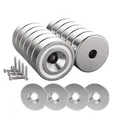 12 Stück Magnete 10 KG Kraft 20 x 7 mm mit Loch und Kapsel Senkkopf Topfmagnet