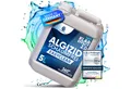 Poollöwe Algizid flüssig für Pool mit ClearProtect-Formel, 5–10L, ClearProtect-Formel, schaumfrei, chlorfrei, zertifiziert