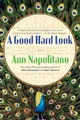 Ann Napolitano A Good Hard Look (Taschenbuch) (US IMPORT)