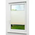 LYSEL® Plissee Klemmen Hellelfenbe, blickdicht, HxB 130x60cm beige 60 cm x 130 cm