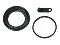 FRENKIT 254136 Bremssattel-Reparatursatz Vorne Hinten Kompatibel mit VW Golf IV Schrägheck 1J1 GOLF VI 5K1 Golf V Schrägheck 1K1 POLO 9N Polo Schrägheck 6R1, 6C1 GOLF PLUS 5M1, 521
