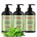 P-Beauty Rosmarin Minze Shampoo, mit Biotin 3x355ml - stärkendes Haarshampoo - Shampoo für Haarwachstumm & Haarausfall - Haarpflege & Kopfhautpflege - Stärkungsshampoo - Schuppenshampoo