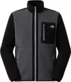 THE NORTH FACE YUMIORI Zip Fleece 2026 anthracite grey/tnf black/monument grey - S
