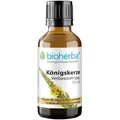 Königskerze Verbascum spp. 50 ml Tropfen Tinkur