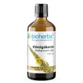 Bioherba Königskerze Verbascum spp. Tropfen Tinktur