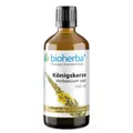 Bioherba Königskerze Verbascum spp. 100 ml Tropfen Tinktur