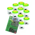Edu-Toys Becherlupe Lupendose Becherlupe Insektenlupe, 10-tlg., mit Luftlöchern und mm-Skala