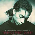 Terence Trent D'Arby Jetzt Bekannt Als Sananda Maitreya Einführung Der Hardline