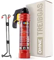 F-Exx® 8.0 C Auto-Schaum-Feuerlöscher Löschspray bis 70°C + Metall-Kfz-Halter