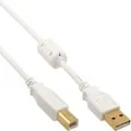 InLine USB 2.0 Kabel, A an B, weiß/gold, mit Ferritkern, 2m (34518W)