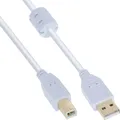 InLine USB 2.0 Kabel, A an B, weiß / gold, mit Ferritkern, 2m, 2 m, USB A, USB B, Männlich/Männlich, 0,48 Gbit/s, Weiß