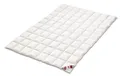Mega Preis Canada Sommerdecke 100% Natur weiche Daunen Federn Kl.1 200x200 cm