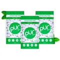 PUR Gum Zuckerfrei Kaugummi Xylit Vegan Aspartamfrei Glutenfrei Spearmint 55 Stk