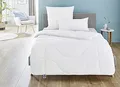 Irisette Micro Thermo 4-Jahreszeitendecke, Steppbett mit Bezug aus softer Microfaser für alle Jahreszeiten, 220 x 240 cm, Öko Tex zertifiziert, produziert nach deutschem Qualitätsstandard