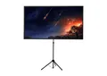 celexon Stativleinwand Ultra-lightweight 199 x 112 cm 1091741