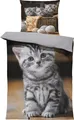 Katzen Bettwäsche 135x200 cm süße Katze Welpen Babykatzen grau Wende Microfaser