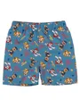 Paw Patrol Badeshorts für Jungen - Kinder Badehose Schwimmhose Boardshorts Badekleidung Hose Blau (DE/NL/SE/PL, Numerisch, 110, 116, Regular)