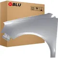 BLU Kotflügel Passend für VW Volkswagen Polo 9N3 IV 4 LIFT LA7W Links Silber ReflexSilber | 2005-2009 | Vorderseite Vorne | Lackiert | Einbaufertig