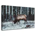 Leinwanddruck Tiere Kanadischer Hirsch 80x50