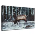 Leinwanddruck Tiere Kanadischer Hirsch 80x50