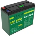 LiFePO4 Akku 36V 12Ah 432Wh Lithium-Eisen-Phosphat Batterie für Camping Boot