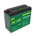 LiFePO4 Akku 36V 12Ah 432Wh Lithium-Eisen-Phosphat Batterie für Camping Boot
