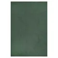 Kurzflorteppich Maschinenwebteppich Teppich Polyester Grün 80 x 150 cm