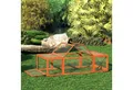 PawHut Kleintierstall Zwergkaninchenstall mit Freilaufgehege, Kleintierkäfig, Kleintierhaus, für Garten, Orange
