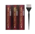 HAIR HAUS Super Brilliant Color Haarfarbe 3x 100ml + Färbepinsel spezial (9-0n)