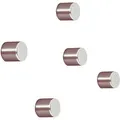 Sigel - Neodym Magnet C5 'strong' (ø X H) 10 Mm X 10 Mm Zylinder Silber 5 St. Ba700