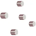Sigel Neodym Magnet C5 "Strong" (Ø x H) 10 mm x 10 mm Zylinder Silber 5 St. B...