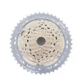 Helix Race Gravel Kassette 12-fach - 9-45 Zähne - nickel grey