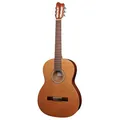 Konzertgitarre Amano C-SN Akustikgitarre Konzert Akustik Gitarre NEU