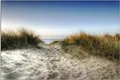 Wallario Outdoor-Poster für Garten oder Balkon, Motiv Weg durch die Dünen zum Strand am Meer, in ca. 61 x 91,50 cm