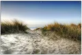 Wallario Outdoor-Poster für Garten oder Balkon Weg durch die Dünen zum Strand am Meer, Motivbanner Größe: ca. 60 x 90 cm, Outdoor-Bild