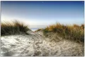 Wallario Sichtschutzzaunmatten Weg durch die Dünen zum Strand am Meer