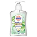 SAGROTAN HYGIENE Flüssigseife 250 ml, 1 St.