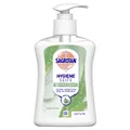 Reckitt Benckiser Deutschland GmbH SAGROTAN Flüssigseife, 250 ml, Handseife sanft zur Haut und stark gegen Bakterien, Aloe Vera 3025780
