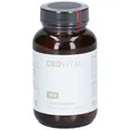CBD VITAL Cistus Immun